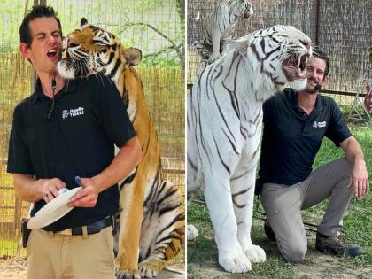 Ryan Easley died after a tiger attacked him during an training with a tiger | दुर्दैवी अंत! ज्याच्या इशाऱ्यावर 'वाघ' उठबस करायचा, त्याच मालकाला वाघाने टेन्शनमध्ये शिकार बनवलं Ryan Easley died after a tiger attacked him during an training with a tiger | दुर्दैवी अंत! ज्याच्या इशाऱ्यावर 'वाघ' उठबस करायचा, त्याच मालकाला वाघाने टेन्शनमध्ये शिकार बनवलं