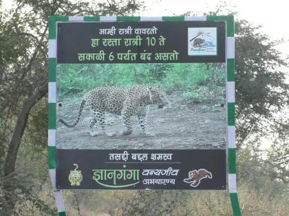 Old man killed on the spot in leopard attack; Incident near Matargaon Dam in Gyanganga Sanctuary | बिबट्याच्या हल्ल्यात वृद्ध जागीच ठार; ज्ञानगंगा अभयारण्यातील माटरगाव धरणाजवळील घटना