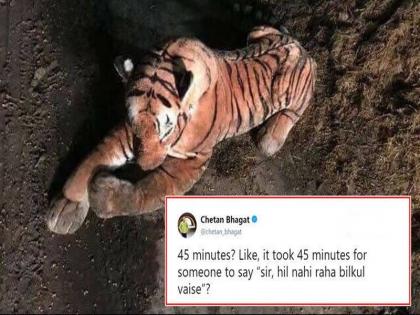 'Tiger is alive' ?; Scottish police laughs at the toy tigers | 'टायगर जिंदा है'?; खेळण्यातील वाघामुळे स्कॉटलंड पोलिसांचे झाले हसे