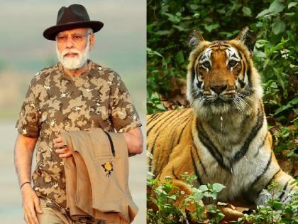 Project Tiger: Number of tigers in India crosses 3 thousand, PM Modi announced new statistics | Project Tiger: भारतात वाघांची संख्या 3 हजार पार, पंतप्रधान मोदींनी जाहीर केली नवीन आकडेवारी