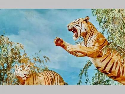 Optical Illusion: 11 tigers hidden in this photo, how many can you see? Find out in 30 seconds | Optical Illusion: या फोटोत लपलेत 11 वाघ, तुम्हाला किती दिसत आहेत? 30 सेकंदात शोधून दाखवा...