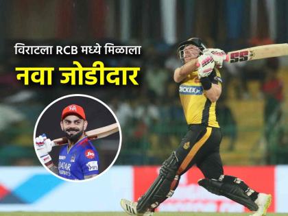 New Zealand explosive wicketkeeper batter Tim Seifert named as RCB replacement for Jacob Bethell in IPL 2025 | IPL 2025: पाकिस्तानला रडवणाऱ्या तगड्या बॅट्समनची RCB मध्ये 'एन्ट्री'; किती मिळाले पैसे?