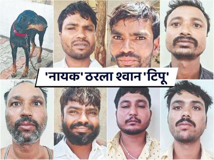 Well done! Tipu the dog caught and handed over the seven robbers in the Toki robbery | शाब्बास! श्वान टिपूने पकडून दिले टोकी दरोड्यातील सात दरोडेखोर Well done! Tipu the dog caught and handed over the seven robbers in the Toki robbery | शाब्बास! श्वान टिपूने पकडून दिले टोकी दरोड्यातील सात दरोडेखोर