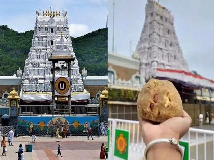 Animal fat in tirupati temple ladus laddoos andhra Pradesh CM Chandrababu cited the lab report, it was confirmed | तिरुपती मंदिराच्या लाडूंमध्ये जनावरांची चरबी? चंद्राबाबूंनी दिला लॅब रिपोर्टचा हवाला, झाली अशी पुष्टी