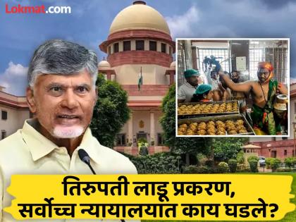 Supreme Court slapped Chief Minister Chandrababu Naidu during the tirupati laddu case hearing | "देवाला तरी राजकारणापासून दूर ठेवा", सुप्रीम कोर्टाने मुख्यमंत्री चंद्राबाबूंना झापले 