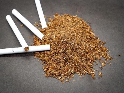 Tobacco and marijuana addiction are becoming deadly; 40 percent increase in deaths due to heart diseases | तंबाखूची तंद्री अन् गांजाची तलब ठरतेय घातक; हृदयरोगांमुळे होणाऱ्या मृत्यूंमध्ये ४० टक्के वाढ Tobacco and marijuana addiction are becoming deadly; 40 percent increase in deaths due to heart diseases | तंबाखूची तंद्री अन् गांजाची तलब ठरतेय घातक; हृदयरोगांमुळे होणाऱ्या मृत्यूंमध्ये ४० टक्के वाढ