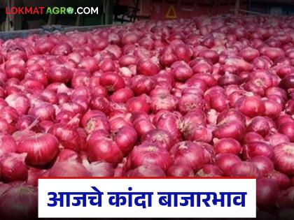 Kanda Bazaar Bhav: Summer onion arrivals in the state have decreased; Read today's onion market prices | Kanda Bajar Bhav : राज्यात उन्हाळ कांद्याची आवक घटली; वाचा आजचे कांदा बाजारभाव Kanda Bazaar Bhav: Summer onion arrivals in the state have decreased; Read today's onion market prices | Kanda Bajar Bhav : राज्यात उन्हाळ कांद्याची आवक घटली; वाचा आजचे कांदा बाजारभाव