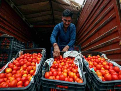 Eat onions and tomatoes sparingly Supply chain disruption | कांदा, टोमॅटो जरा जपूनच खा; पुरवठा साखळी विस्कळीत