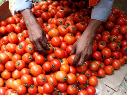 food and consumer affairs ministry says not just tomato kitchen staples singeing pockets; parliament monsoon session | फक्त टोमॅटोच नव्हे तर 'या' खाण्या-पिण्याच्या वस्तूही महागल्या, संसदेत सरकारकडून आकडेवारी सादर