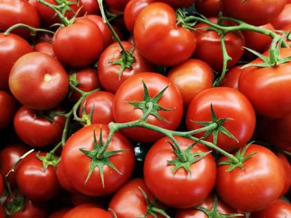 Awesome! A 10th pass farmer became a millionaire by selling tomatoes | जबरदस्त! दहावी पास शेतकरी टोमॅटो विकून झाला कोट्यधीश