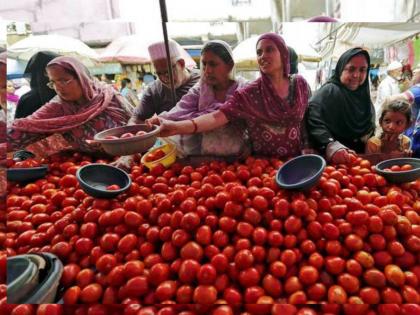 tomato sale in delhi more than 71000 kilogram tomato sold in nccf two day mega sale | मोठी गर्दी! स्वस्त टोमॅटोच्या खरेदीसाठी दिल्लीकरांची झुंबड; 2 दिवसांत 71 हजार किलोची विक्री