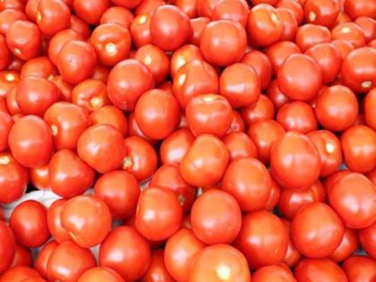  Tomato support to disadvantaged farmers! | नुकसानग्रस्त शेतकऱ्यांना टमाट्याचा आधार !