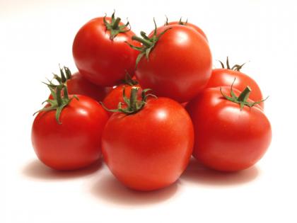 The state government will have to come up with a central market intervention scheme for tomato growers | टोमॅटो उत्पादकासाठी केंद्राची बाजार हस्तक्षेप योजना राज्य शासनाला करावी लागेल खरेदी : मगच केंद्र उचलणार आर्थिक वाटा The state government will have to come up with a central market intervention scheme for tomato growers | टोमॅटो उत्पादकासाठी केंद्राची बाजार हस्तक्षेप योजना राज्य शासनाला करावी लागेल खरेदी : मगच केंद्र उचलणार आर्थिक वाटा