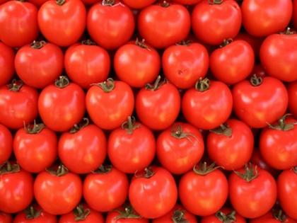 Imported tomatoes from Nepal hit local producers | नेपाळच्या आयात टोमॅटोचा स्थानिक उत्पादकांना फटका, दर निम्म्यावर