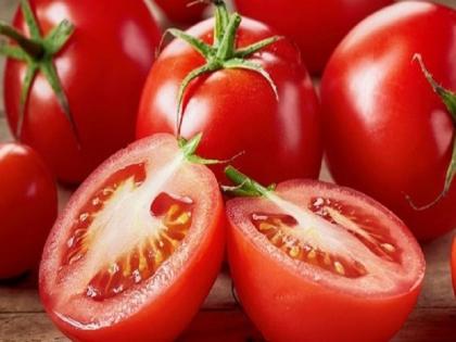 Misconceptions about tomatoes should not be spread; Dr. Appeal of BNS Murthy, Dr. Ajit Navale | टोमॅटोविषयी गैरसमज पसरवू नयेत; डॉ. बी.एन.एस.मूर्ती, डॉ.अजित नवले यांचे आवाहन