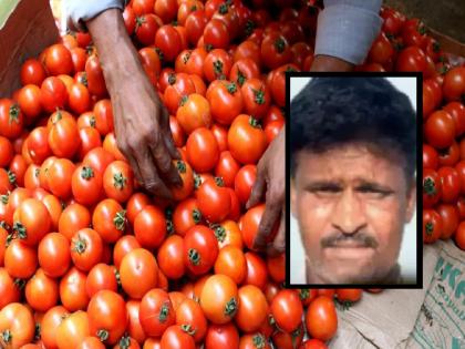 Tomato price hike, Andhra Pradesh Farmer Murali Earned Rs 4 Crore In Tomato sell, Read Success Story | शेतकऱ्यांचा नाद करायचा नाय! टोमॅटो विकून 45 दिवसांत केली 4 कोटींची कमाई