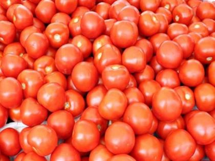 truck loaded with tomatoes overturned on-nh 44 telangana police protect it from robbery | 22 लाख किमतीच्या टोमॅटोने भरलेला ट्रक पलटला; लुटीपासून वाचण्यासाठी पोलिसांनी लढवली शक्कल