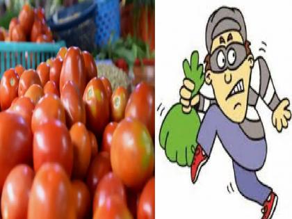 Stealing tomatoes from a farmer's field at Godwadi in Karad taluka satara | पैशांबरोबरच चोरट्यांचा आता शेतमालावर डल्ला, शेतातून हजारो रुपयांचे टोमॅटो केले लंपास