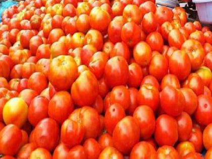 Tomato price hike, Satisfaction among farmers | लाल सोनं दहा किलोला तीनशे रुपये, टोमॅटो उत्पादक शेतकऱ्यांत समाधान