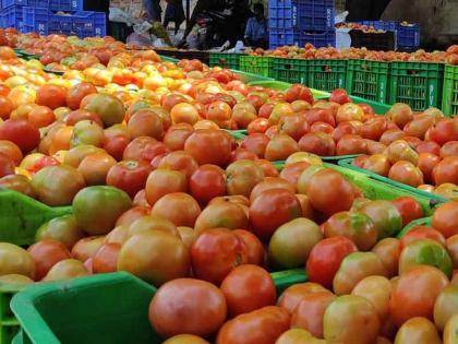 The theft of almost 20 carats of tomatoes from the vegetable market; Gondia vegetable market incident | भाजीबाजारातून चक्क चोरले टोमॅटो; दुकान फोडून २० क्रेट्स पळवले