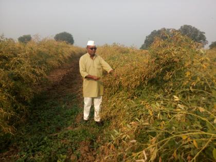 Seven quintals of crop in drought conditions | दुष्काळी परिस्थितीत घेतले एकरी सात क्विंटल तुरीचे पिक