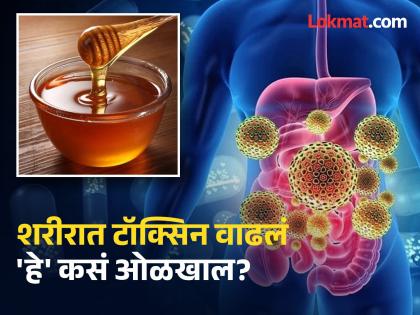 Symptoms that shows there is toxin in your body, know the home remedies | शरीरात विषारी पदार्थ जमा झाल्यास दिसतात 'ही' लक्षणं, जाणून घ्या कसे काढाल बाहेर!