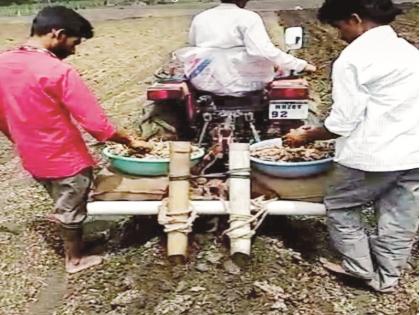 Turmeric cultivation machine developed in 300 rupees only | ३०० रुपयांत हळदबेणे लागवडीचे यंत्र