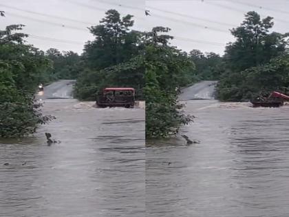 Gondia: Returning tractor carrying women laborers washed away in river | Gondia: मजूर महिलांना सोडून परतणारा ट्रॅक्टर नदीत वाहून गेला