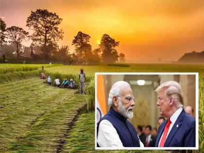 No compromise with farmers' interests, no agreement under pressure, India's clear stance on 25% tariff | शेतकऱ्यांच्या हिताशी तडजोड नाही, दबावाखाली करार करणार नाही, २५% टॅरिफबाबत भारताची स्पष्ट भूमिका