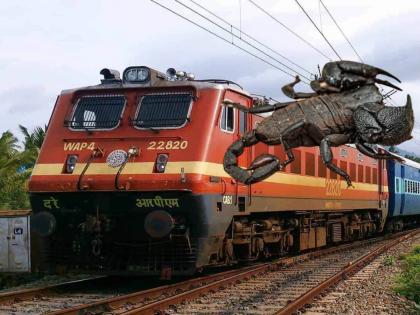 scorpion stung passenger in amravati jabalpur express | अरे बापरे! एका विंचवामुळे जबलपूर एक्सप्रेस थांबवली; जाणून घ्या नेमकं प्रकरण काय?