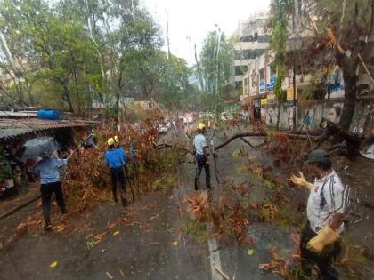 heavy rain in pune city tree have fallen in many places in city | वादळी वारा अन् जोरदार पाऊस; पुणे शहरात झाडपडीच्या घटना, जनजीवन विस्कळीत