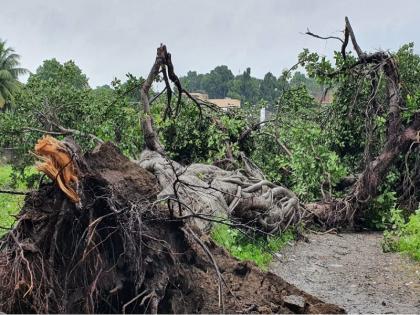 3 thousand 640 villages affected by heavy rain in Marathwada; Fifty four lakh hectares of crops were damaged | मराठवाड्यात ३ हजार ६४० गावांना अतिवृष्टीचा फटका; पावणेचार लाख हेक्टर पिकांचे नुकसान