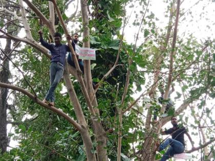 Pimpri-Chinchwad Municipal Corporation manipulates tree census; Rayat Vidyarthi Parishad's agitation sitting on a tree | पिंपरी - चिंचवड महापालिकेकडून वृक्षगणनेबाबत चालढकल; रयत विद्यार्थी परिषदेचे झाडावर बसून आंदोलन