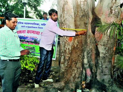  In Nashik, the number of trees crossed 40 lakhs | नाशिकमध्ये वृक्षगणनेत ४० लाखांचा आकडा झाला पार