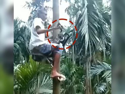 desi jugaad man climbs tree without using hands or legs but with the help of machine | हात आणि पाय न वापरता हा माणूस सरसर झाडावर चढतो, पद्धत बघुन तुम्हालाही बसेल धक्का