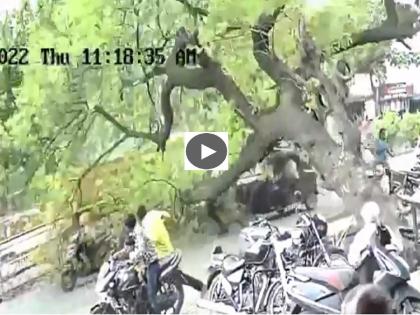 'The time had come but ...'; A tree suddenly uprooted on the way; Auto, two bikes came down | 'काळ आला होता पण...'; रस्त्यावर अचानक उन्मळून पडले झाड; ऑटो, दोन दुचाकी आल्या खाली