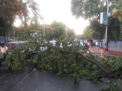 rain in pune city trees and branches fell in the city and vehicles were damaged | पुणे : पावसामुळे शहरात झाडे, फांद्या कोसळून वाहनांचे नुकसान