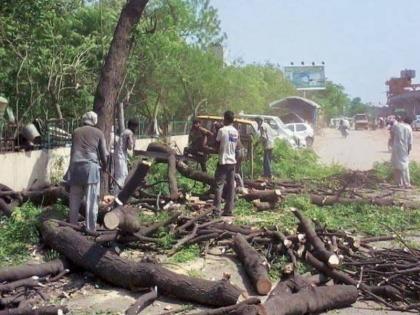 less trees Increase in pollution level 10 thousand trees axed in 3 years Pune citizens angry | झाडे कमी; प्रदूषणाच्या पातळीत वाढ, ३ वर्षांमध्ये १० हजार झाडांवर कुऱ्हाड, पुणेकर संतापले