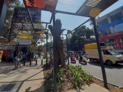 Will Pune be smart by cutting the throats of trees? Question from Punekar | झाडांचा गळा कापुन होणार का पुणे स्मार्ट? पुणेकरांचा संतप्त सवाल   