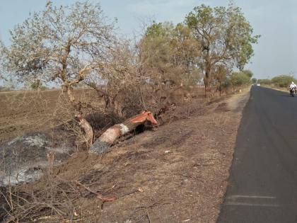 tree cutting continue in washim district | एकिकडे वृक्षलागवडीसाठी आटापिटा; दुसरीकडे वृक्षसंवर्धनाकडे कानाडोळा !