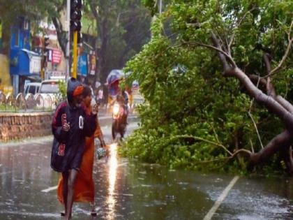 91-Years Old Walkeshwar Woman Dies After a Branch Falls on Her Head | झाडाची फांदी डोक्यावर पडून 91 वर्षीय वृद्धेचा मृत्यू