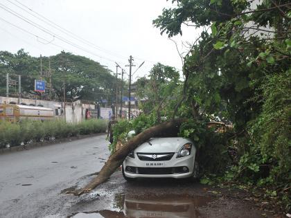 105 trees fell in Vasco in two months | दोन महिन्यात वास्कोत १०५ झाडं कोसळली; एकाचा दुर्देवी अंत