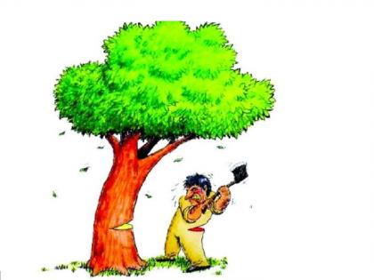 It is because of Kolhapur that the rules of Tree Authority were prepared | वृक्ष प्राधिकरणाचे नियम तयार झाले कोल्हापूरमुळेच