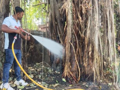 The attitude of burning the tree is the door of the administration! The tree was saved due to awareness | Satara: झाड जाळण्याची वृत्ती चक्क प्रशासनाच्या दारी!, सजगपणा दाखविल्यामुळे बचावले झाड