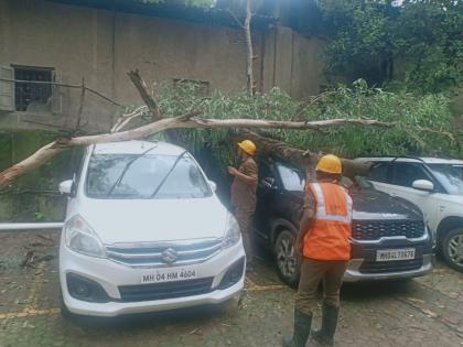 Five vehicles, including a two-wheeler, were damaged by falling trees | वृक्ष पडून पाच वाहनांचे नुकसान, एका दुचाकीचा समावेश