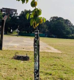 Questioning on Tree Plantation Campaign: Half of the trees planted alive | वृक्ष लागवड अभियानावर प्रश्नचिन्ह : लावलेली अर्धीच झाडे जिवंत