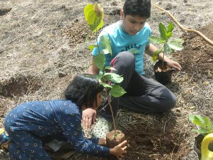 Hundreds of hands gathered in Nashik Deorai for a green future tree plantation | हरित भविष्यासाठी नाशिक देवराईमध्ये एकत्र आले शेकडो हात