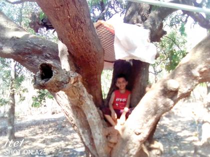 The idea of Chinmay Marathe from Vengurla, Sakarle Tree House | CoronaVirus Lockdown : वेंगुर्ल्यातील चिन्मय मराठेची आयडियाची कल्पना, साकारले ट्री हाऊस