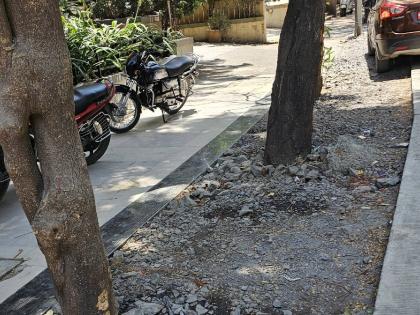 No trees or asphalt, debris - cement piles, heavy damage to trees | झाडां ना डांबर , डेब्रिज - सिमेंटचा फास, झाडांचे मोठे नुकसान