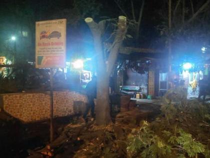 after aarey trees axed at midnight in thane for metro alleges mns | आरे पाठोपाठ आता ठाण्यात मेट्रोसाठी रात्री वृक्षतोड; मनसेचा आरोप